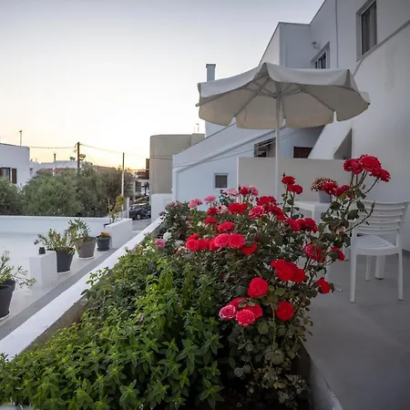 Olia Garden In Naxos Town Apartment Naxos City Exterior photo