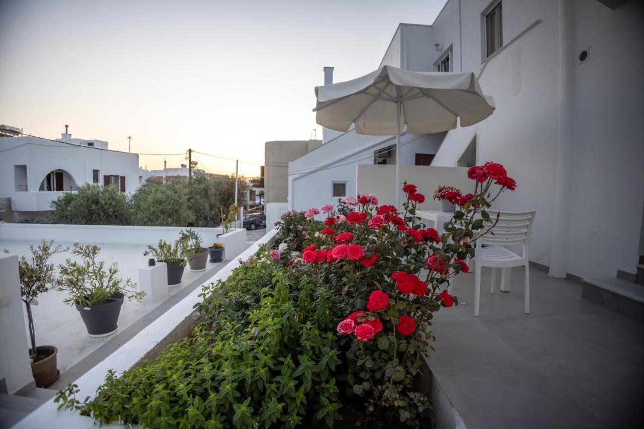 Olia Garden In Naxos Town *